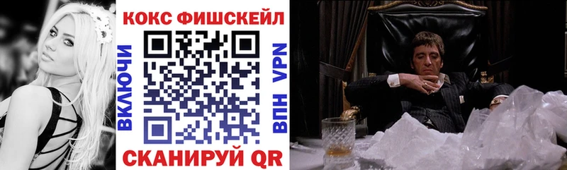 Cocaine FishScale  Высоковск 