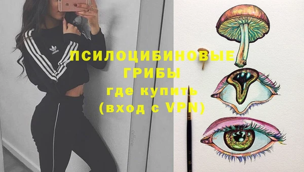 прущий лед Богородицк
