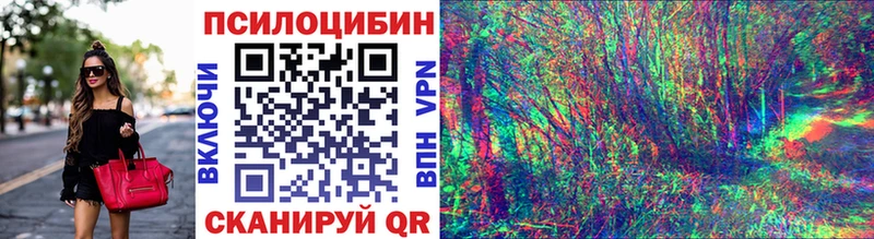 Псилоцибиновые грибы мухоморы  цены наркотик  Высоковск 